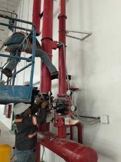 Imagen de WhatsApp 2025-09-18 a las 09.00.54_b019284e