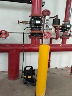 Imagen de WhatsApp 2025-09-18 a las 09.00.55_257a2a34